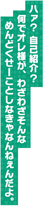 ハァ？　自己紹介？何でオレ様が、わざわざそんなめんどくせーことしなきゃなんねぇんだよ。